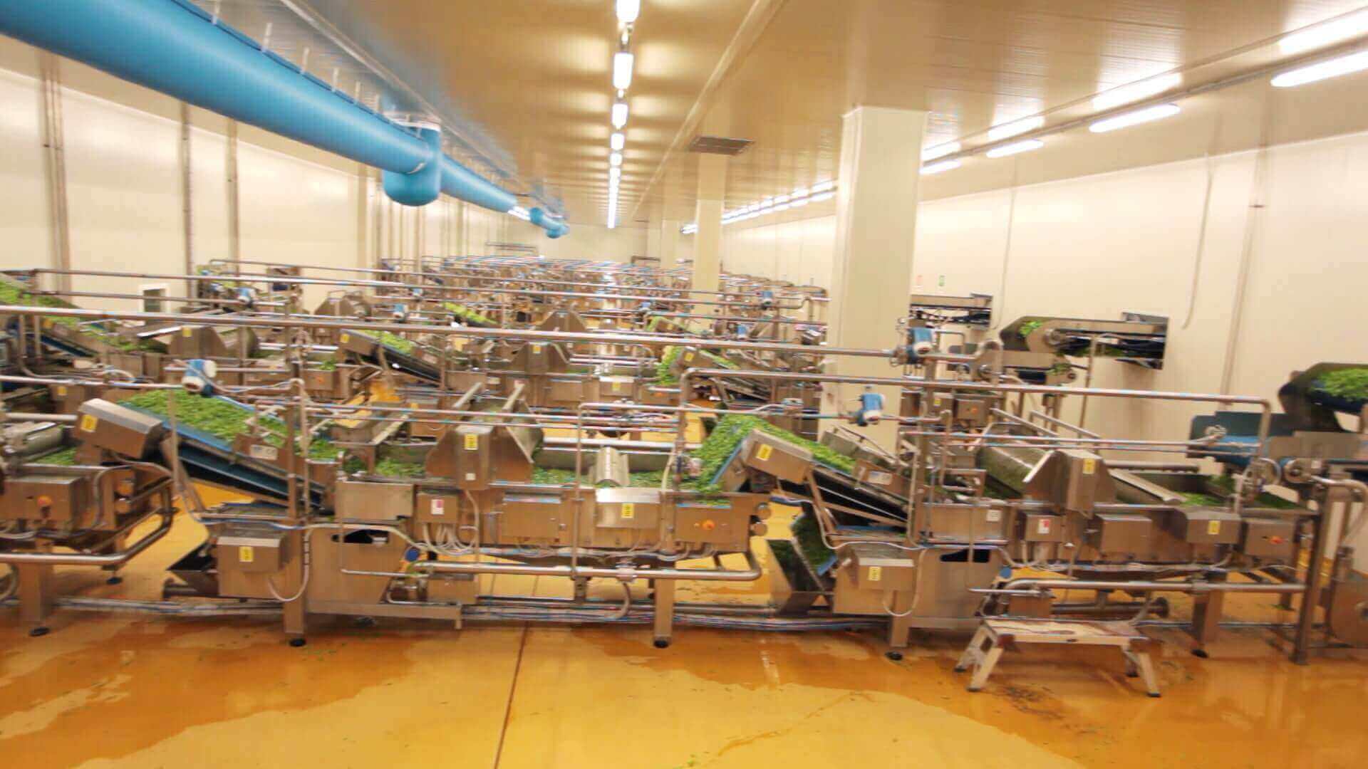 Usine de San Paolo d'Argon, en Italie