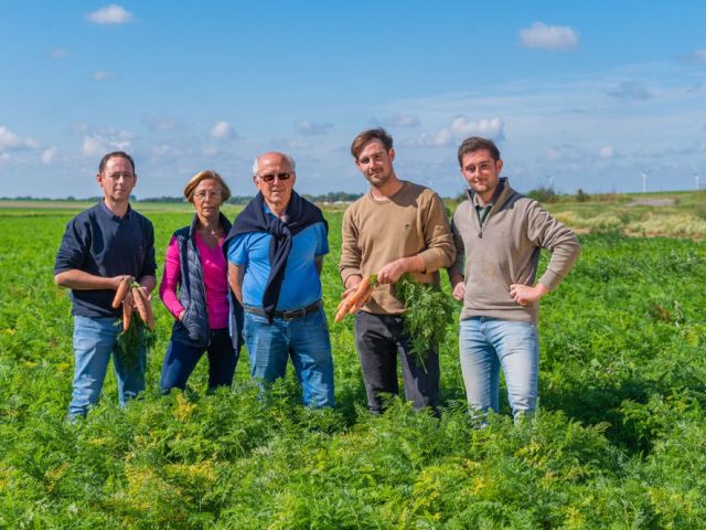 Cultivateurs dans un champ