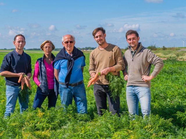 Cultivateurs dans un champ