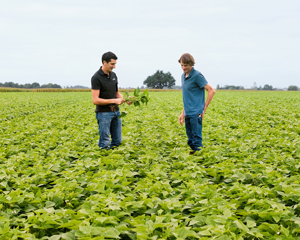 AGROECOLOGY