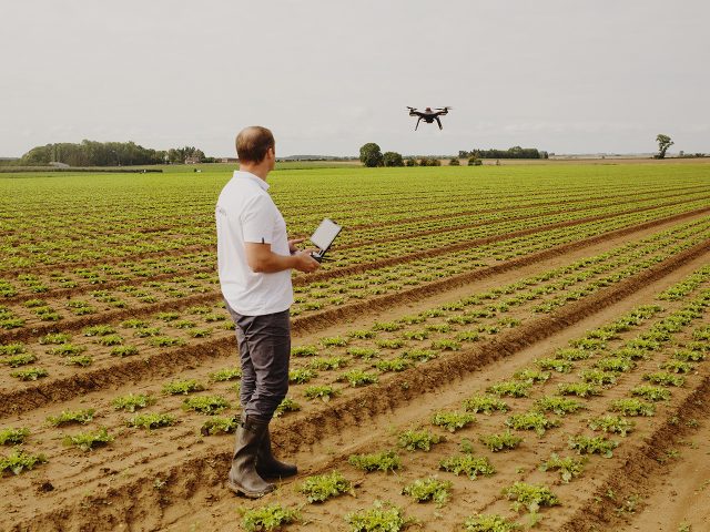 Utilisation d'un drone pour contrôler un champ