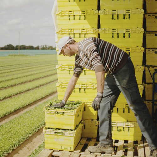 Travailleur agricole