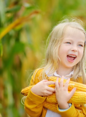 Petite fille dans un champ de maïs