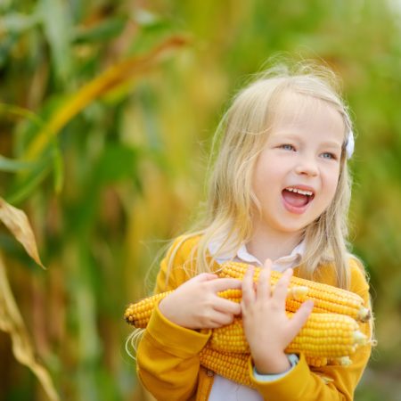 Petite fille dans un champ de maïs