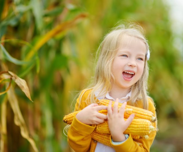 Petite fille dans un champ de maïs