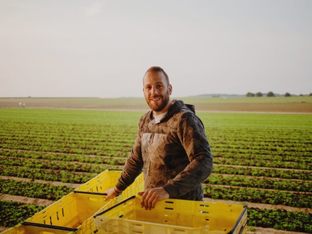 Agriculteur préparant ses caisses pour la récolte