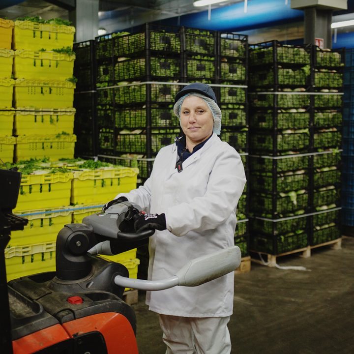 Femme en manutention de caisses de salades