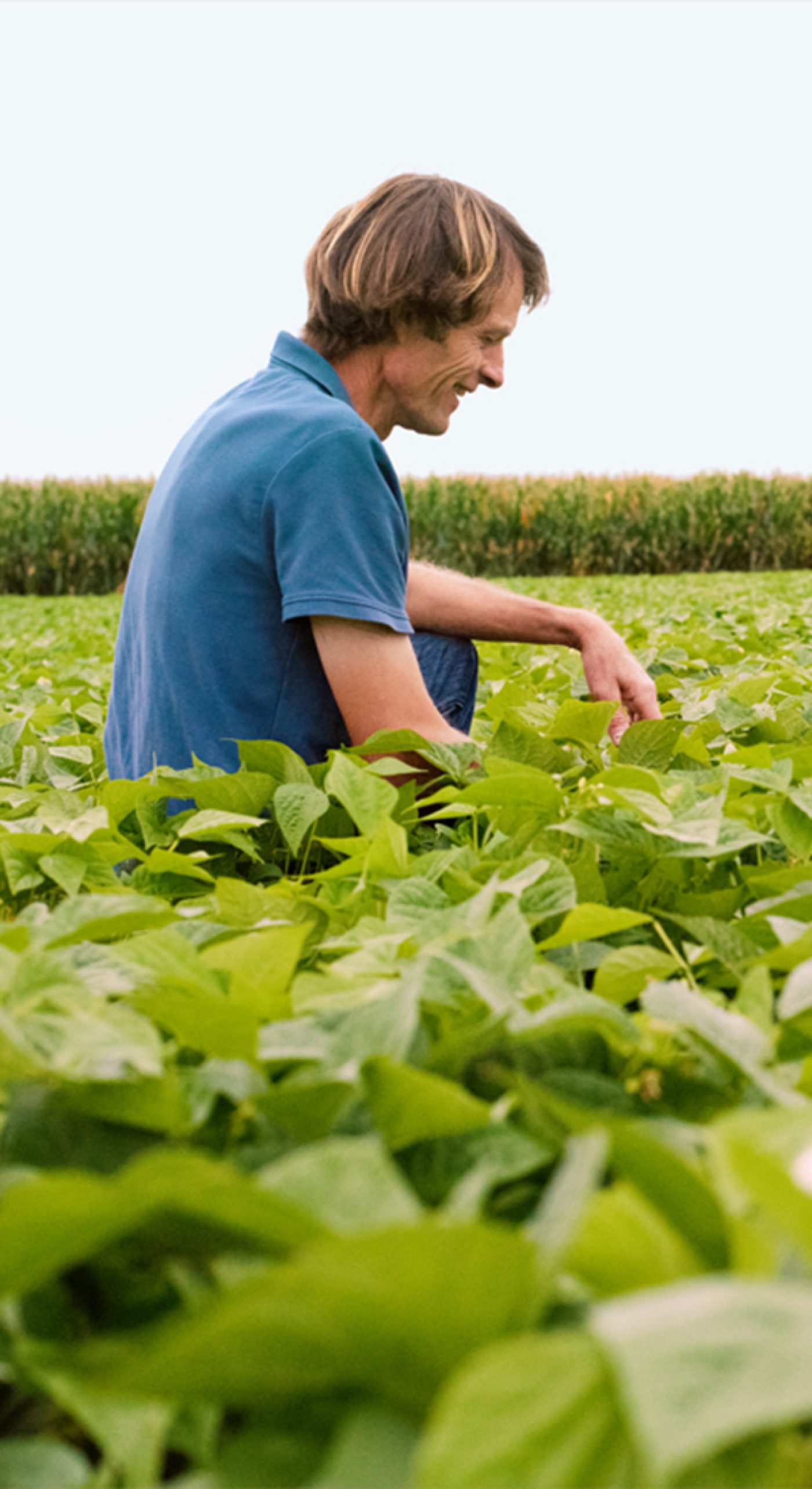 Agriculteur dans un champ