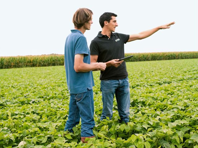 Deux agriculteurs discutant dans un champ