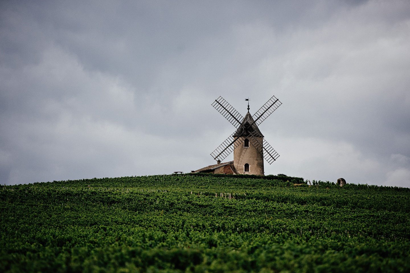 Champ avec un moulin à vent en arrière plan