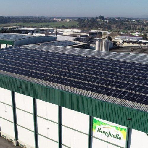 Vue sur les panneaux solaires d'un site Bonduelle